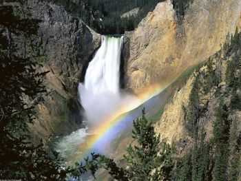 Yellowstone Falls, Yellowstone National Park Wyoming screenshot