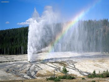 Yellowstone National Park Wyoming screenshot