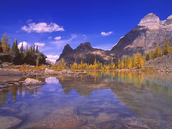 Yoho National Park, British Columbia, Canada screenshot