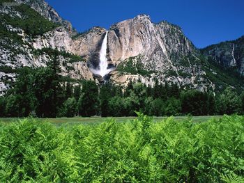 Yosemite Falls California screenshot