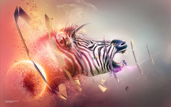 Zebra Transition screenshot